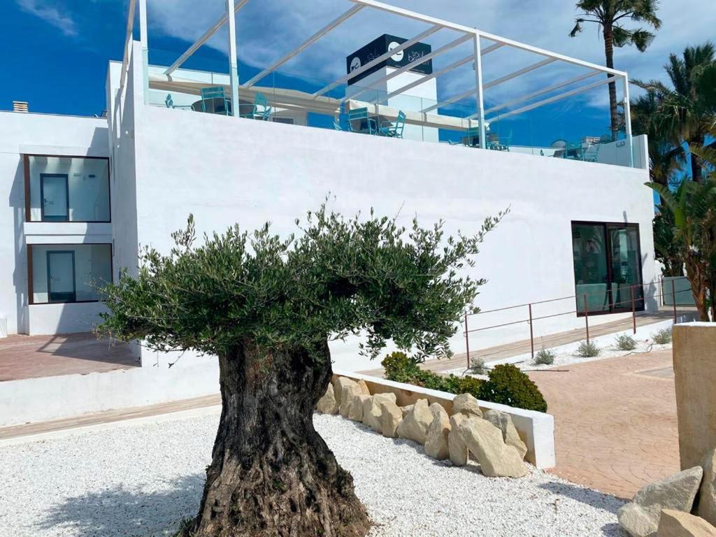 Soul Beach Hotel By Mc - Adults Recommended Denia Exterior photo